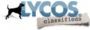 Lycos.com